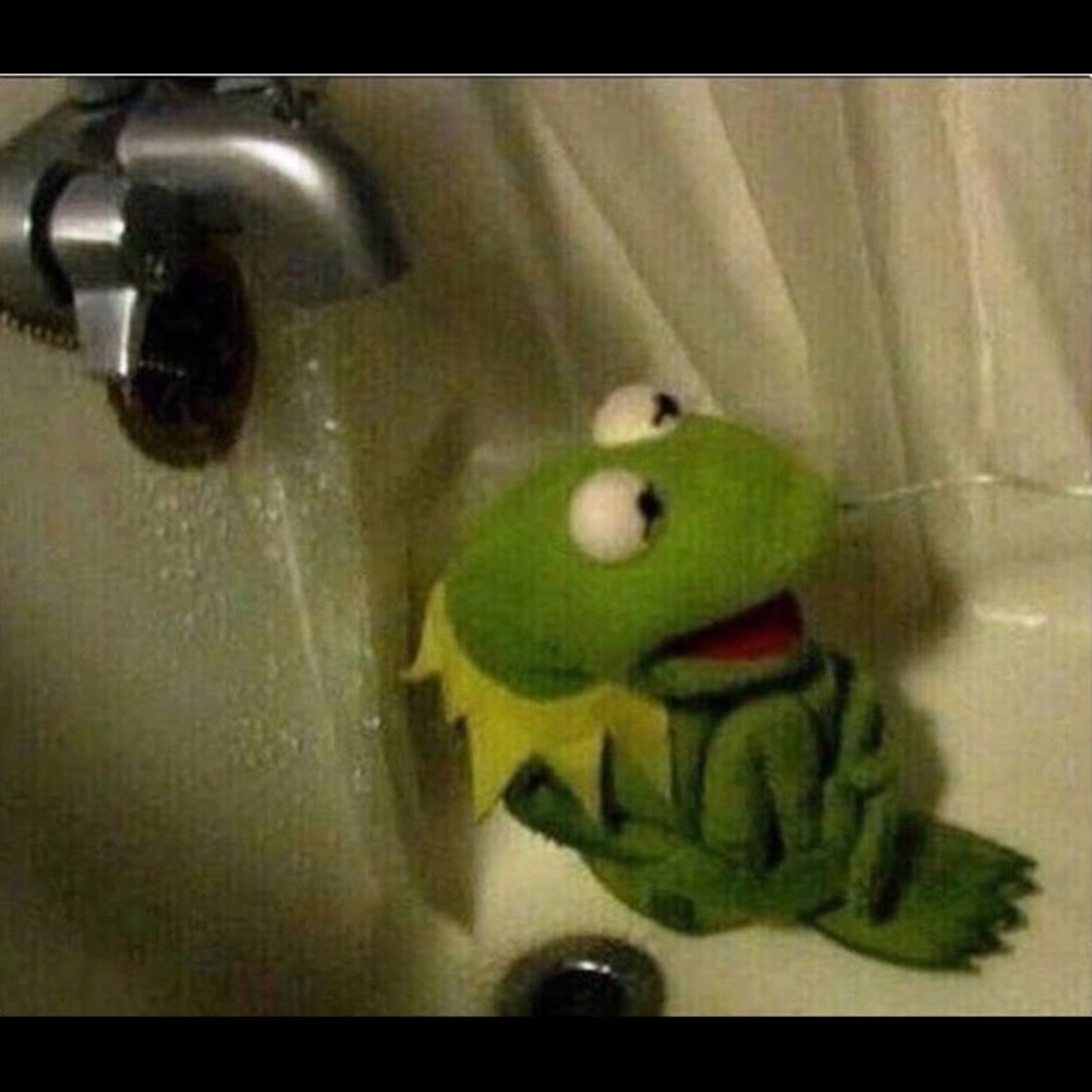 Meet your Posher, Sophia